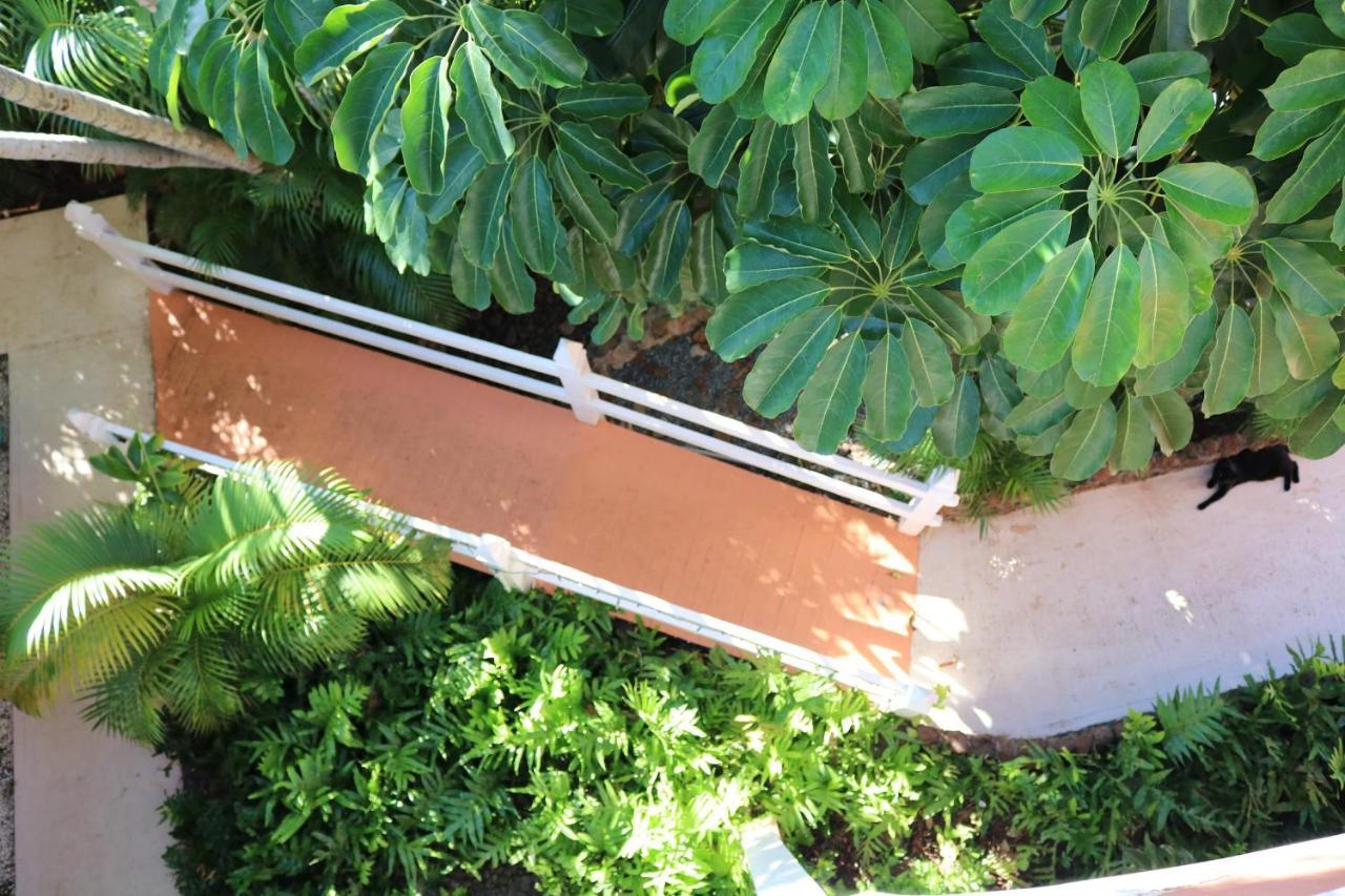 Maui Garden Oasis Villa Lahaina Dış mekan fotoğraf
