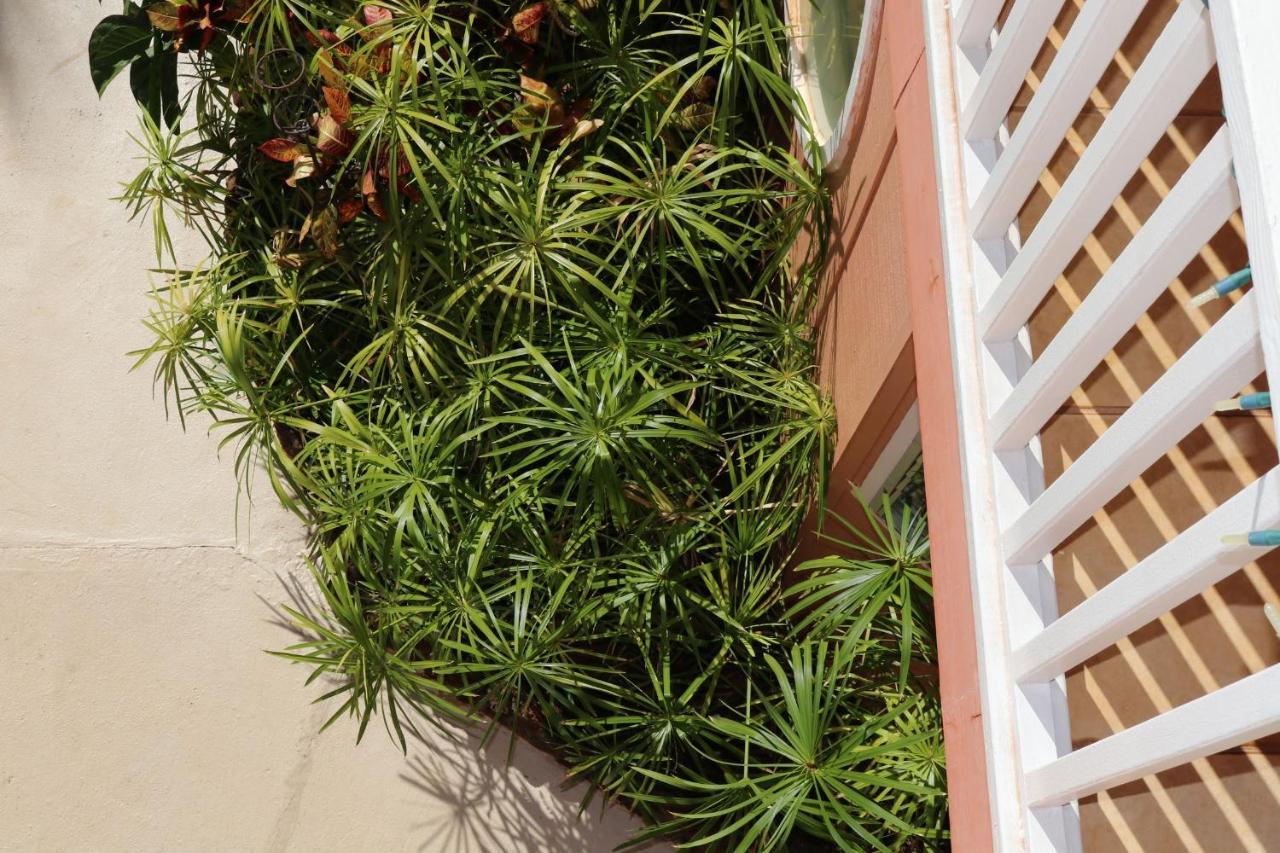 Maui Garden Oasis Villa Lahaina Dış mekan fotoğraf