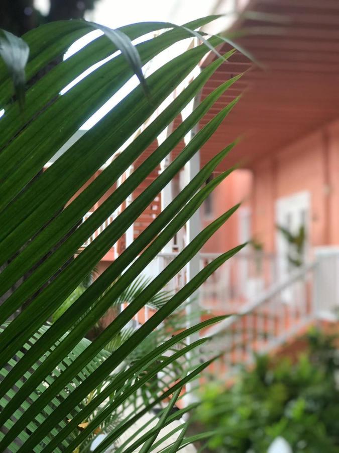 Maui Garden Oasis Villa Lahaina Dış mekan fotoğraf